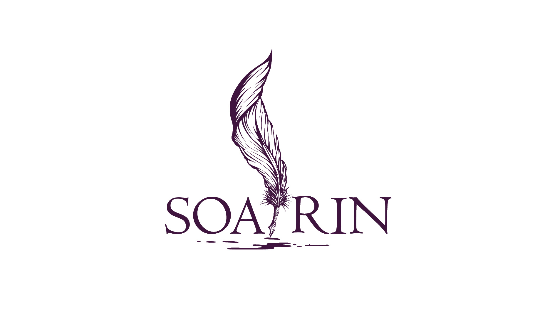 SOARIN
